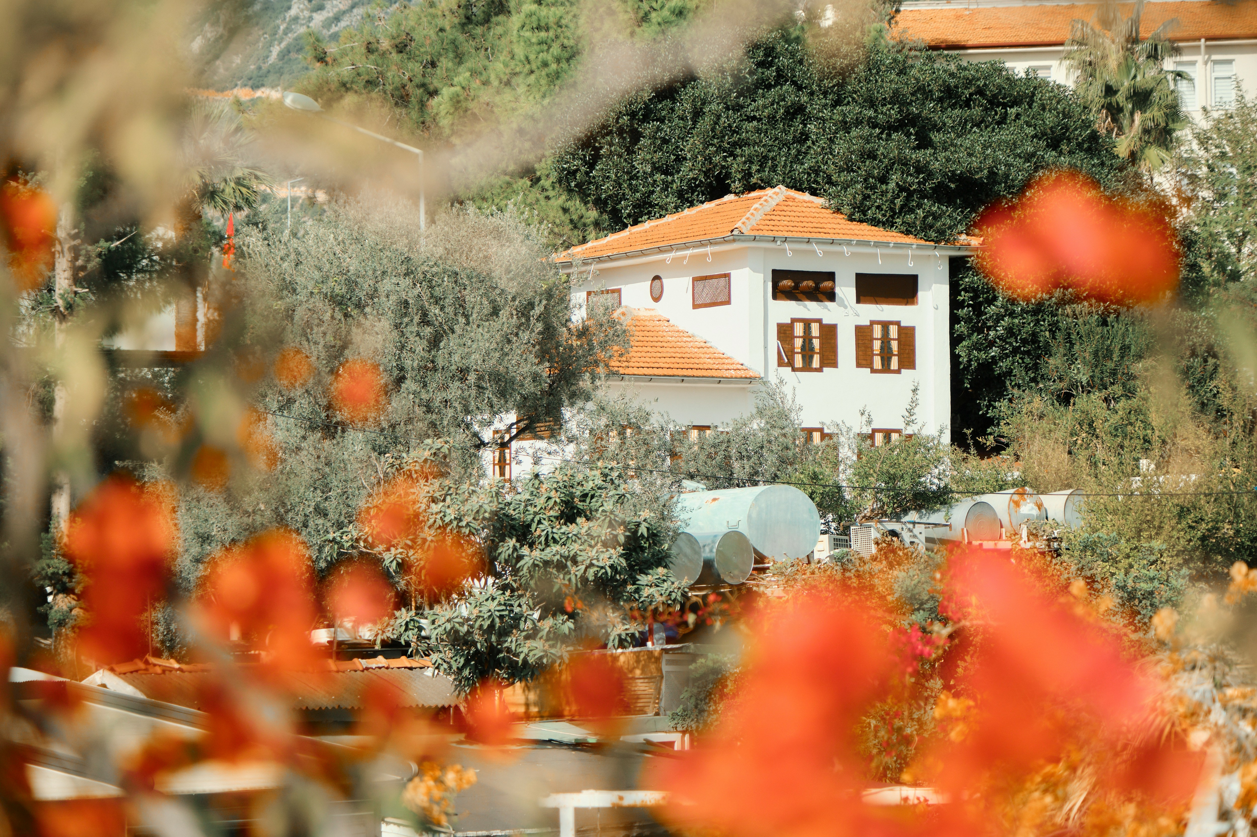 White Mediterranean-style house with a terracotta roof, surrounded by lush greenery and partially obscured by vibrant red-orange flowers in the foreground